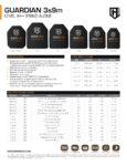 Guardian 3s9m | HighCom Armor (Single) - ArmorLite USA